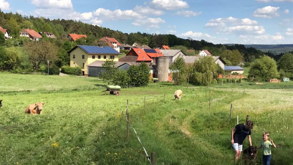 Ferienwohnungen Elsbacher Hof Erbach  ภายนอก รูปภาพ
